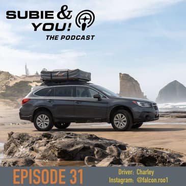 S&YE31 - Falcon Roo1