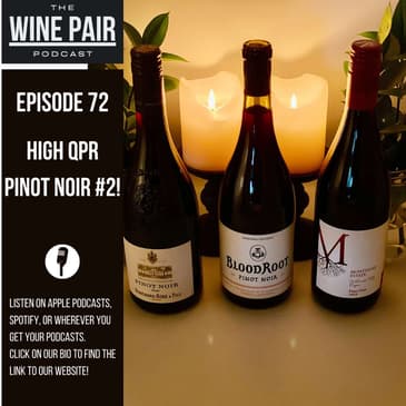 High QPR Pinot Noir #2! (Why Pinot Noir can be expensive, why you should care about Pinot Noir, a 9 point wine rating!)