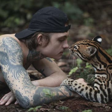 (Episode 357) "Wildcat" Documentary. Animal Conservationist: Harry Turner.