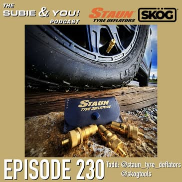 S&YE230 - Staun Tyre Deflators - SKOG Tools
