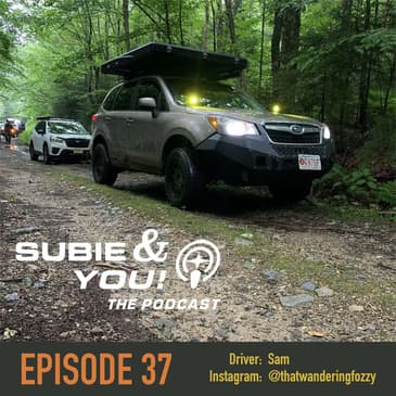 S&YE37 - That Wandering Fozzy