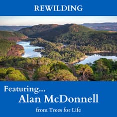EP 20: "Rewilding" with Alan McDonnell from Trees for Life