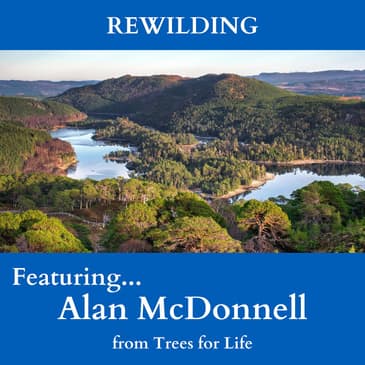 EP 20: "Rewilding" with Alan McDonnell from Trees for Life