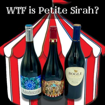 WTF is Petite Sirah? (Hint: it’s not baby Syrah, AKA Durif, for people who love big red wines, a punch-you-in-the-face wine)
