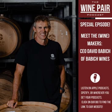 Special Episode! Meet the (Wine) Makers: David Babich (CEO of Babich Wines, the 107 year history of Babich wines, New Zealand wine, Sauvignon Blanc, what really makes organic wine better)