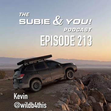 S&YE213 - Wild B4 This