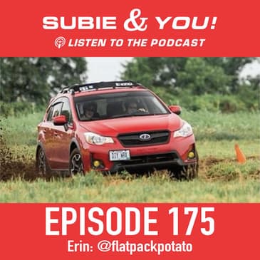 S&YE175 - Flat Pack Potato