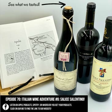 Italian Wine Adventure #6: Salice Salentino! (Rich, rustic red wines, Southern Italian wines, Negroamaro, Malvasia Nera, great wines with Italian food)