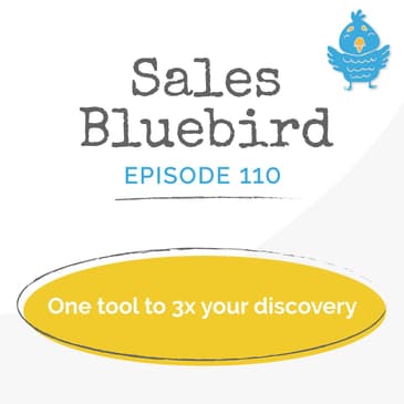 110: One tool to 3x your discovery