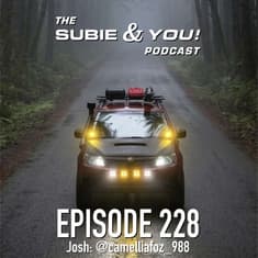 S&YE228 - Camellia Foz