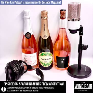 Sparkling Wines from Argentina! (Affordable high quality sparkling wines, under the radar sparkling wines, Sparkling Rosé from Malbec, crowd pleasing sparkling wines, sparkling wine for red wine lovers)