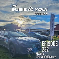 S&YE232 - Shenefelt Journey