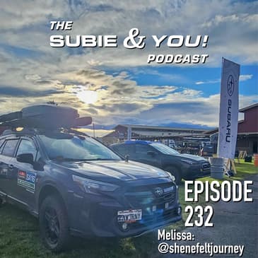 S&YE232 - Shenefelt Journey