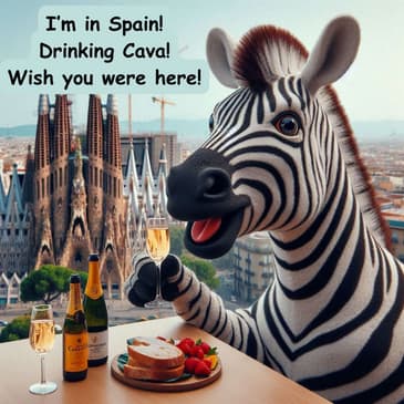 Spain’s Answer to Champagne: Cava! (A step up from Prosecco at a similar price)