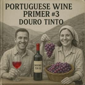 Portuguese Wine Primer #3: Douro Tinto!