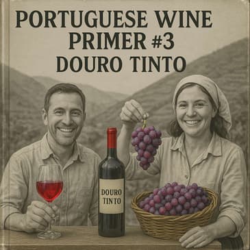 Portuguese Wine Primer #3: Douro Tinto!