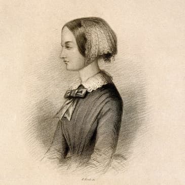 Noise-Nightingale minisode #4