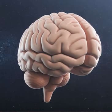 Meeting Tomorrow With Today's Strength