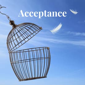 Episode 20: Acceptance