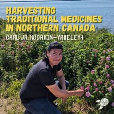 A peek into Indigenous life in Northern Canada: harvesting medicine, paying the land, and McDonald’s — Carl Jr. Kodakin-Yakeleya