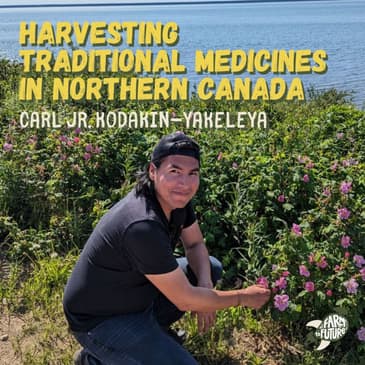 A peek into Indigenous life in Northern Canada: harvesting medicine, paying the land, and McDonald’s — Carl Jr. Kodakin-Yakeleya