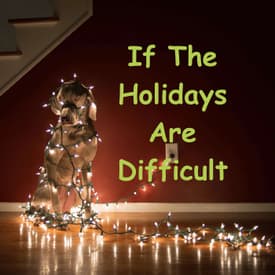 Episode 17 Season 4: If The Holidays Are Difficult