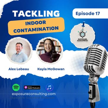 Tackling Indoor Contamination: Insights from the Experts