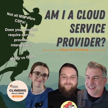 What Classifies an Organization as a Cloud Service Provider?