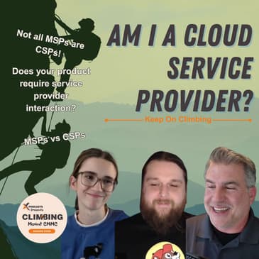 What Classifies an Organization as a Cloud Service Provider?