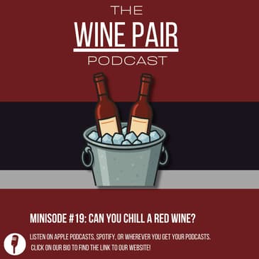 Minisode #19: Can You Chill a Red Wine? (The 20/20 rule, chillable red wines)