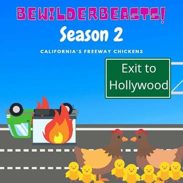 Ep 42: What the Pluck?