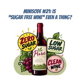 Minisode #21: Is "Sugar-Free Wine" Even a Real Thing?