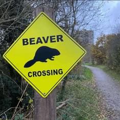 #102: (WILD) Rewilding Urban Parks with Lost Species - Sean McCormack, Ealing Beaver Project