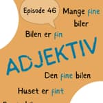 #46 Norwegian adjectives made simple: are you describing or defining? [grammatikk]
