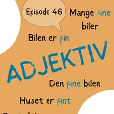#46 Norwegian adjectives made simple: are you describing or defining? [grammatikk]