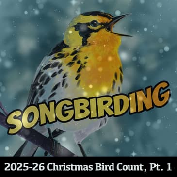 2025-26 Christmas Bird Count Special, Part 1