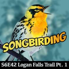 S6E42 - Logan Falls Trail, Part 1