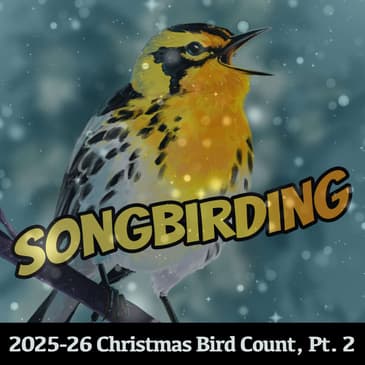 2025-26 Christmas Bird Count Special, Part 2