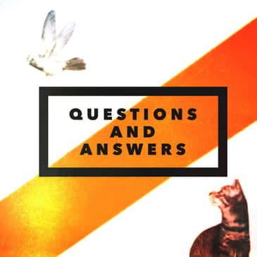 Questions And Answers: Student Panel