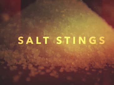 Matthew 5:13 - You Are The Salt of the Earth