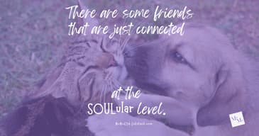 Friends at the SOULular Level