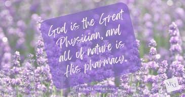 Don't Know Much About Science Books