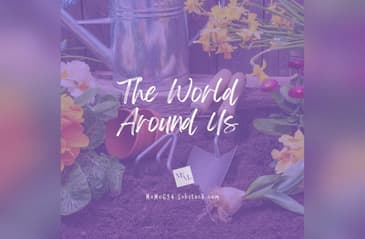 The World Around You