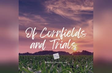 "Wish It Into the Cornfield, Anthony!"