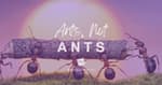 Ants, Not ANTs