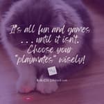 Life's Laser Pointer