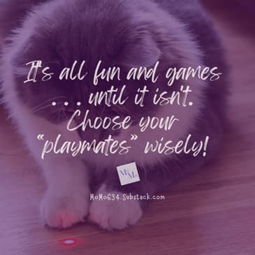 Life's Laser Pointer