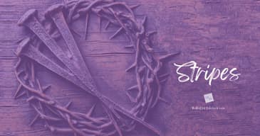 Stripes