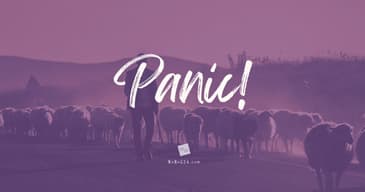 Panic! (Could Life Ever Be Sane Again?)