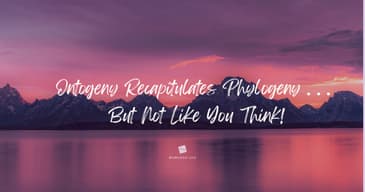 Ontogeny Recapitulates Phylogeny . . . But NOT Like You Think!